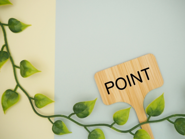 ポイントを示したイラスト