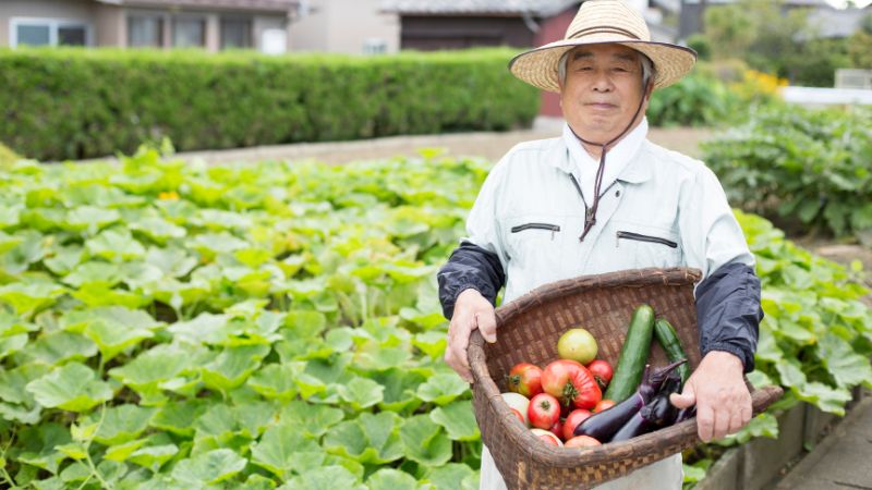 畑にいる野菜農家の人