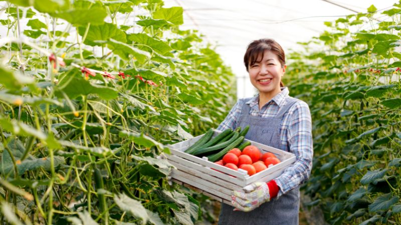 トマトときゅうりを抱える農家の女性
