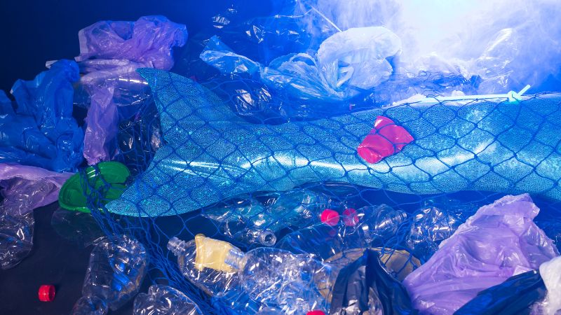 魚の網にからまるゴミの写真